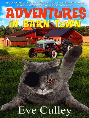 cover image of Adventures in Barn Town
